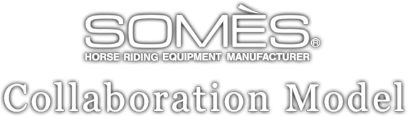 SOMES Collaboration Model