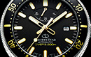 DIVER