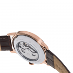 RN-AP0001S