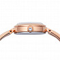 RN-WG0005S
